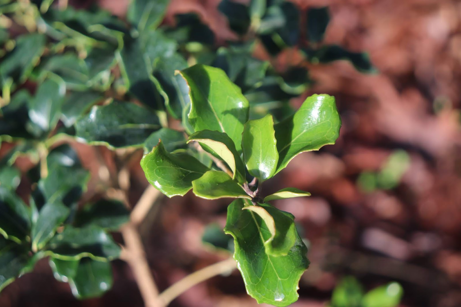 Touch Of Class Product Catalogue 2018 2019 By Touch Of Class