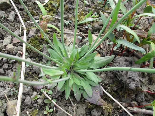 Reisen In Die Neuen Bundeslander Klaus Metzger Jutta Hartmann