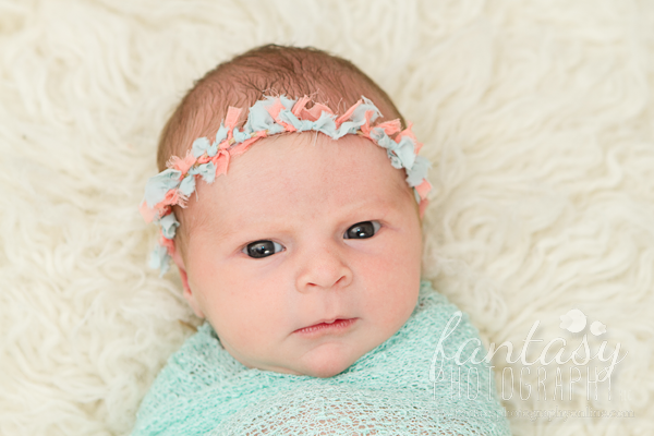 newborn photography in winston salem nc | triad newborn photographers newborn photography in winston salem nc | triad newborn photographers