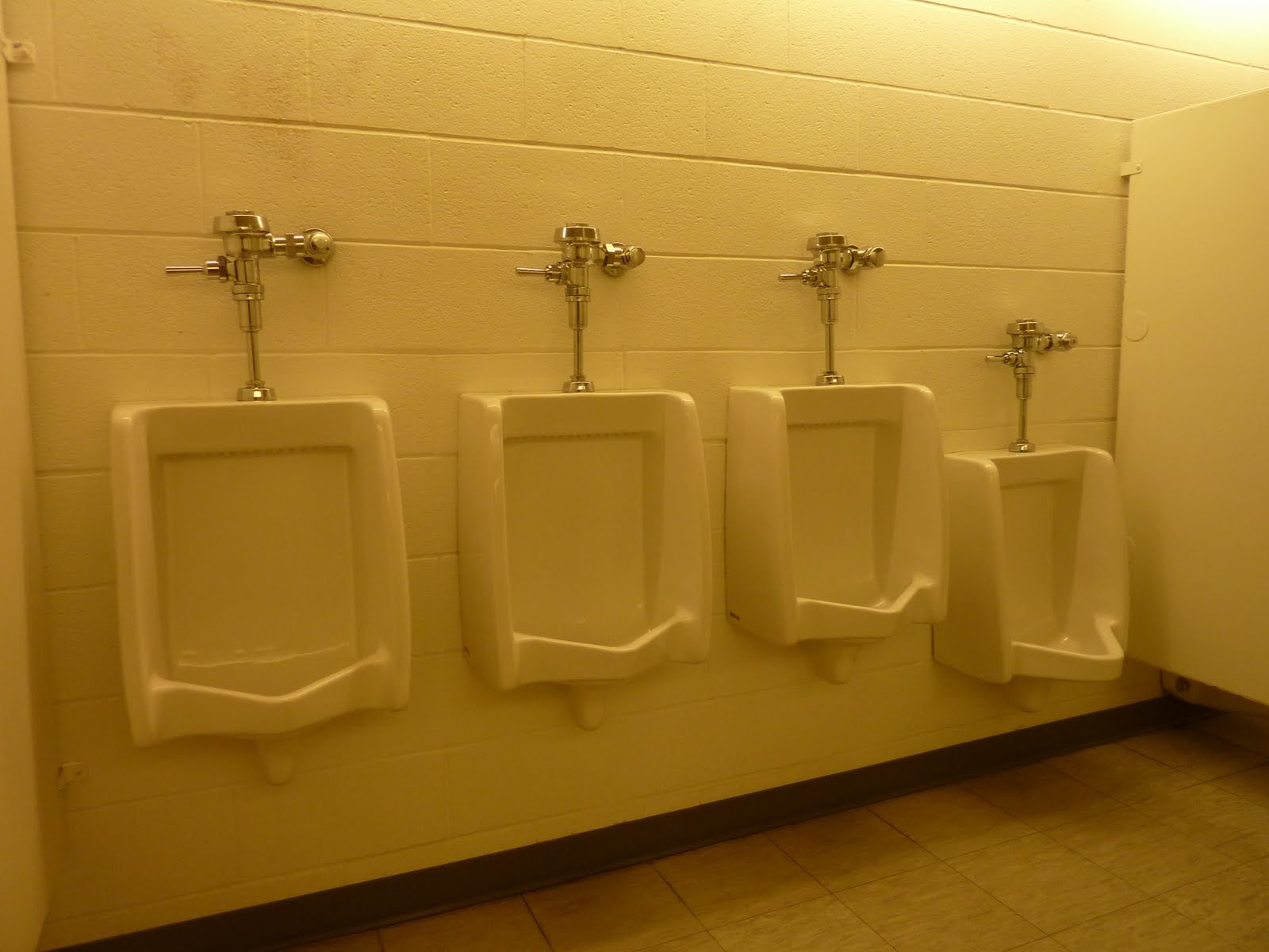 So Now What? Urinals and things potty