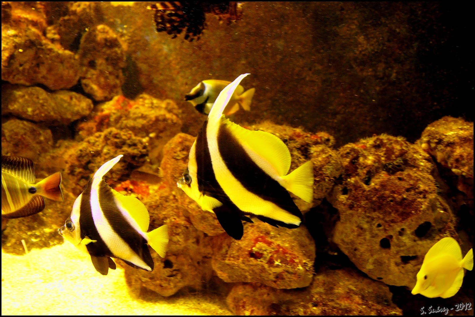 Descubre Cada Día Un día en la península de O Grove