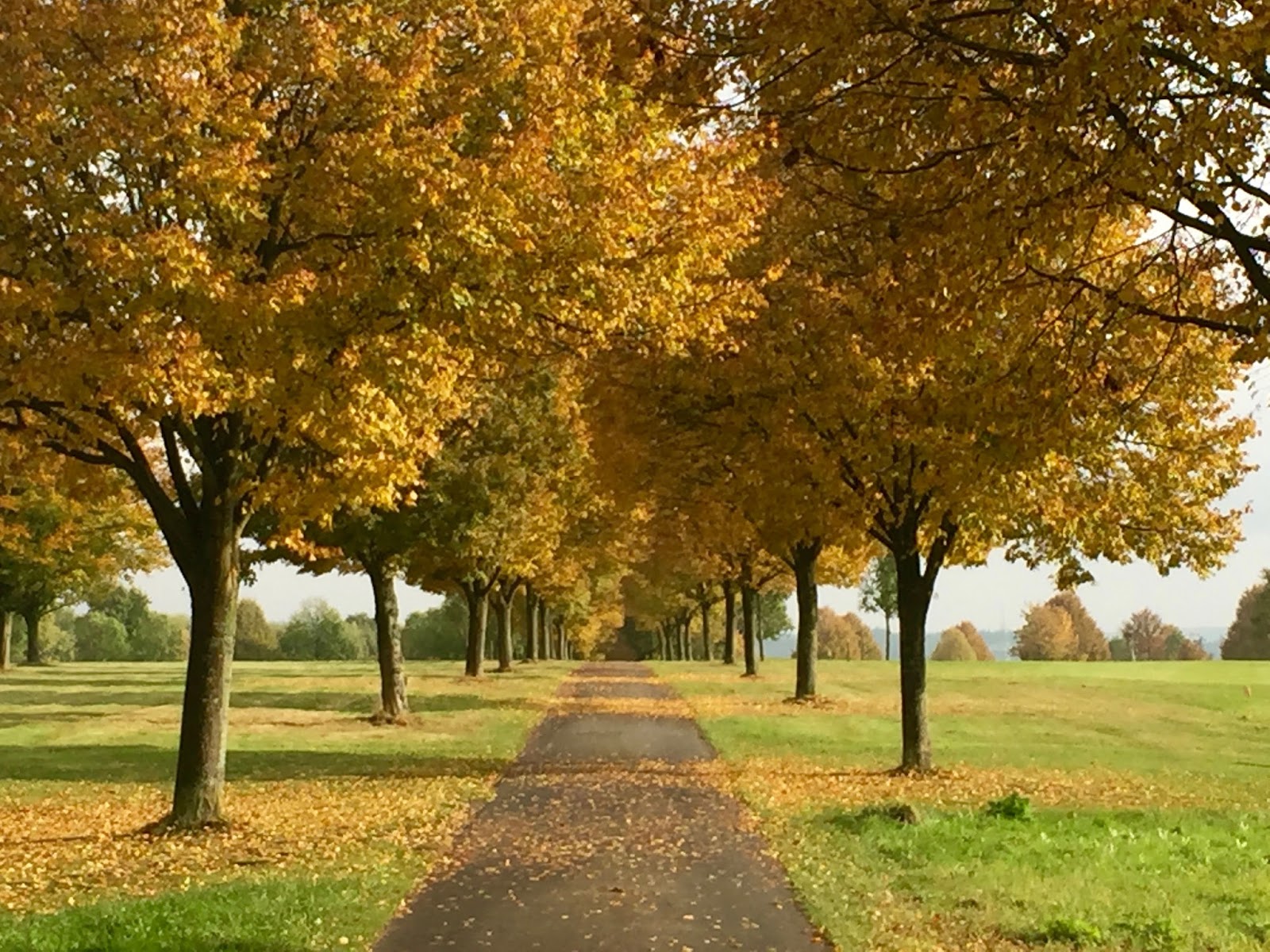Ein Letztes Mal Zu Rock Am Ring Lokalzeit Koln Lokalzeit