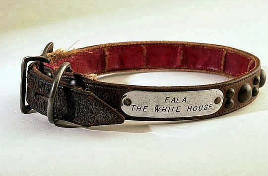 Scottish Dog Collar Scottish Dog Collar