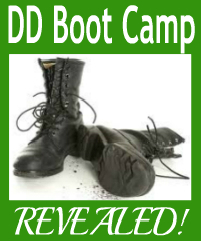 Domestic Discipline Boot Camp Pdf