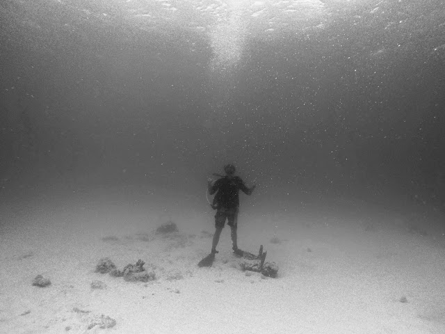 Diving in Barbados | Copyright: Skip to Malou Blog Diving, Underwater Photography, Barbados, Black and White Photography, GoPro