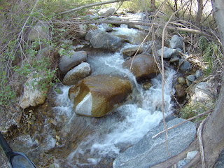 California Local Trout Fishing Water Repor - Hunting the River King