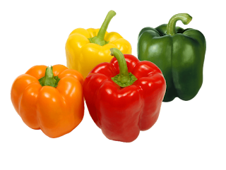 paprika obat diabetes