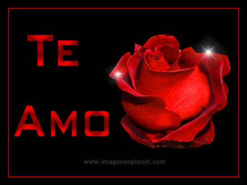 Imagenes de amor - Fotos Bonitas ↓ Frases【↓DESCARGAR