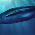 Qué es el peligroso juego de "La ballena azul" y por qué preocupa a las autoridades