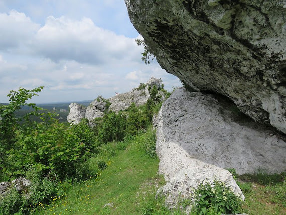 Widok na Koguty i grupę Młynarza koguty