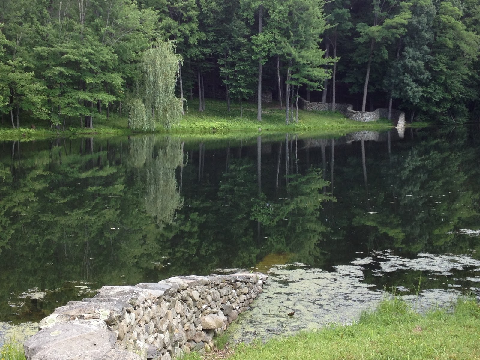 Always Be An Emerging Artist Andy Goldsworthy's "Storm King Wall"