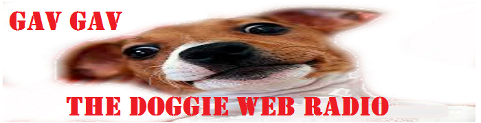 Gav Gav The Doggie Web Radio