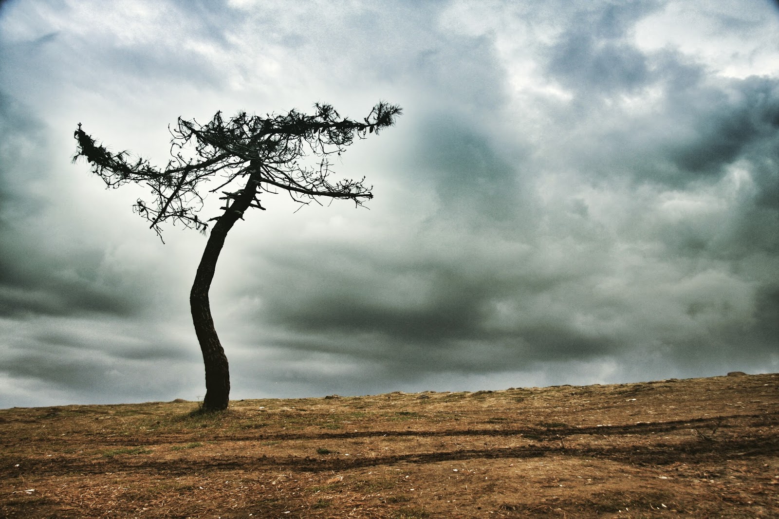 Dunyanin afede Hâli