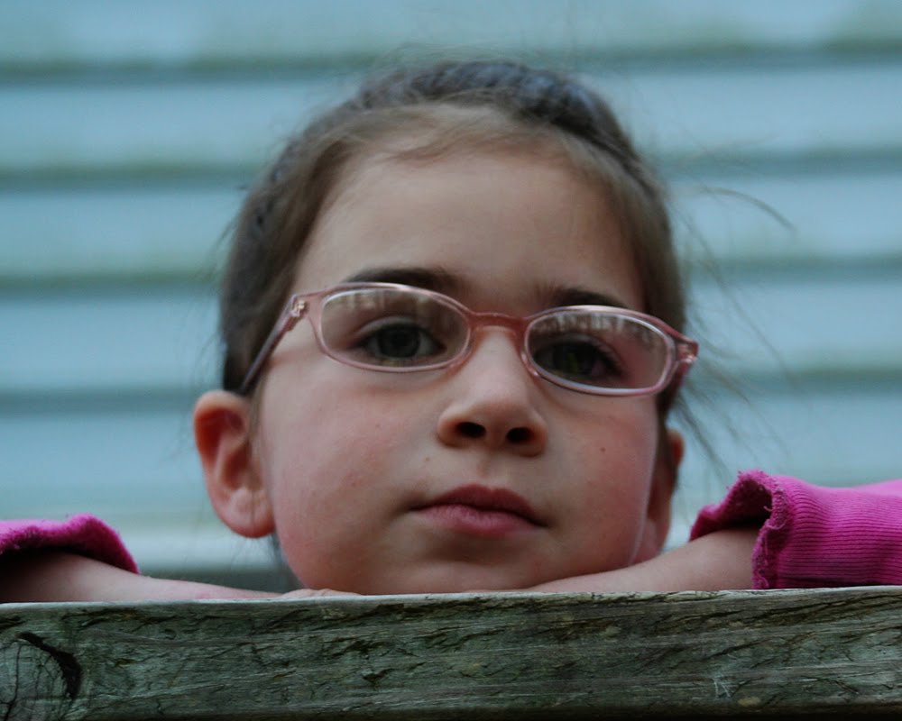 sarah skeen Lily and Her New Glasses