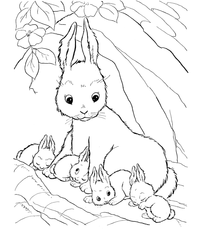 Cute animals printable coloring page title=