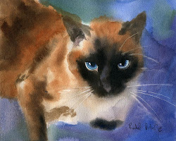 cat watercolor siamese painting applehead rachel point parker paintings seal cats chocolate studio portrait repose pet artist painted portraits clicking