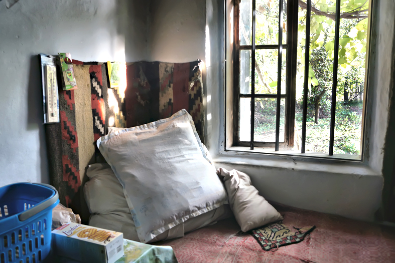 Photographis Răchitoasa, Bacău