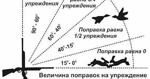упреждение пол фигуры. как правильно стрелять вальдшнепа на тяге. дальность прицельного выстрела танка т 72 схема. упреждение.