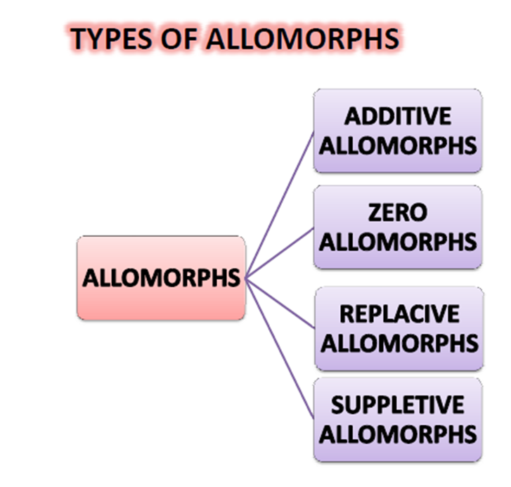 ALLOMORPHS Morphology
