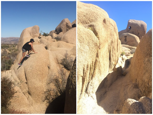 P1 - 24 Hours in Joshua Tree National Park