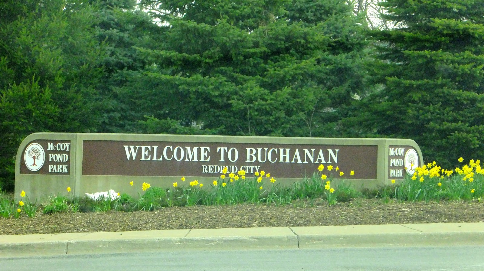 Plants Amaze Me Six Parks in 12 hours in Michigan Part 1