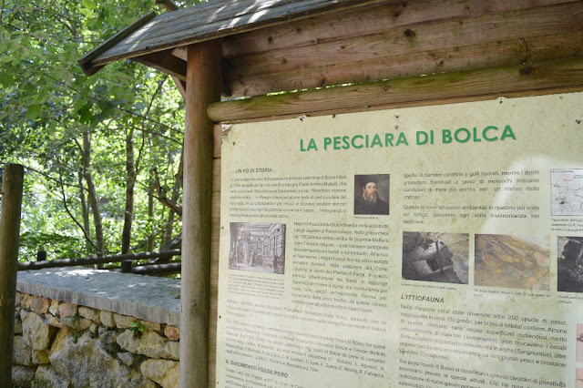 museo dei fossili bolca pesciaria