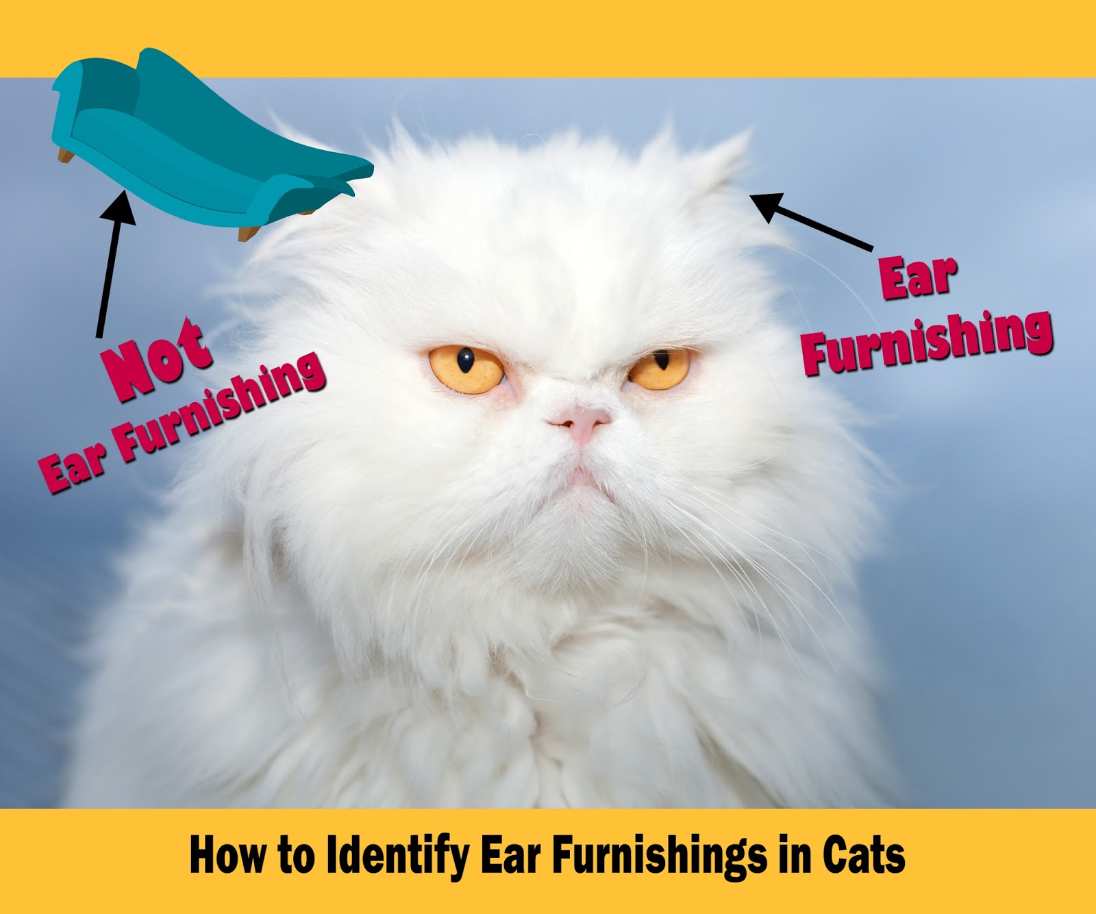 The Cuddlywumps Cat Chronicles Words with ster Ear Furnishings, Plus Friendly FillIns