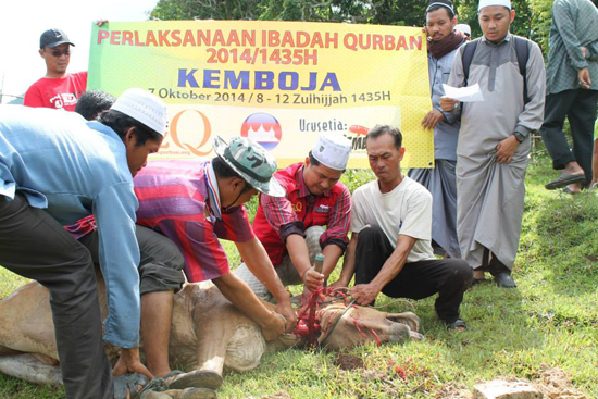 Daftar Mudah Ibadah Qurban Menerusi EZ Qurban Daftar Mudah Ibadah Qurban Menerusi EZ Qurban