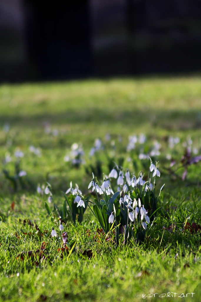 Kinder Gedichte Welt Winterfee
