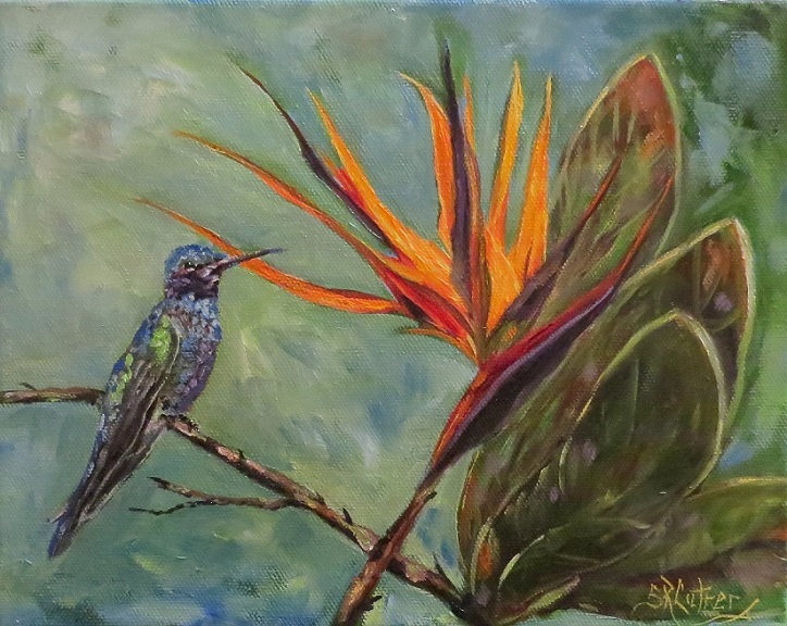 Hummingbird and Bird of Paradise