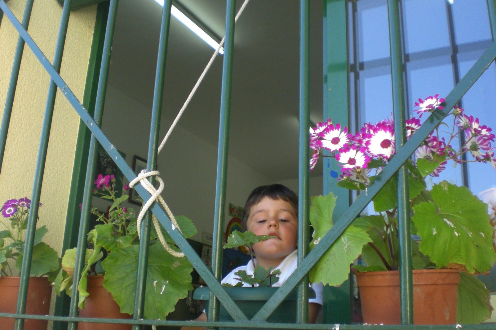 CPR.BEMBEZAR: LA PRIMAVERA HA LLEGADO A CÉSPEDES