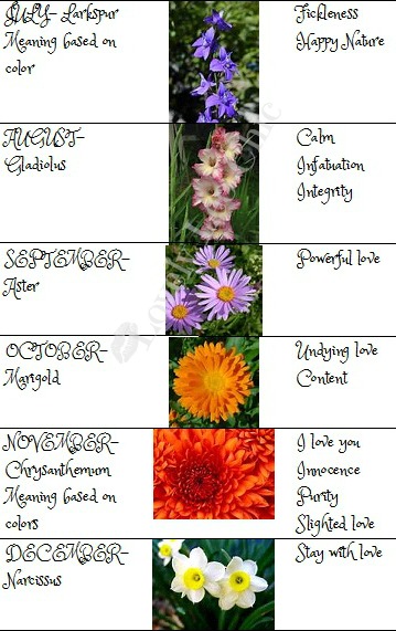 Birth Month Flowers Chart