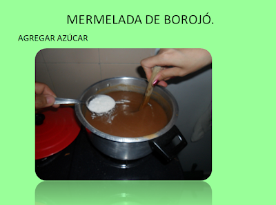 CÓMO HACER MERMELADA DE BOROJÓ?