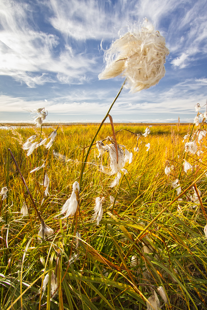 Capturing Alaska And Beyond! Quinhagak, Alaska