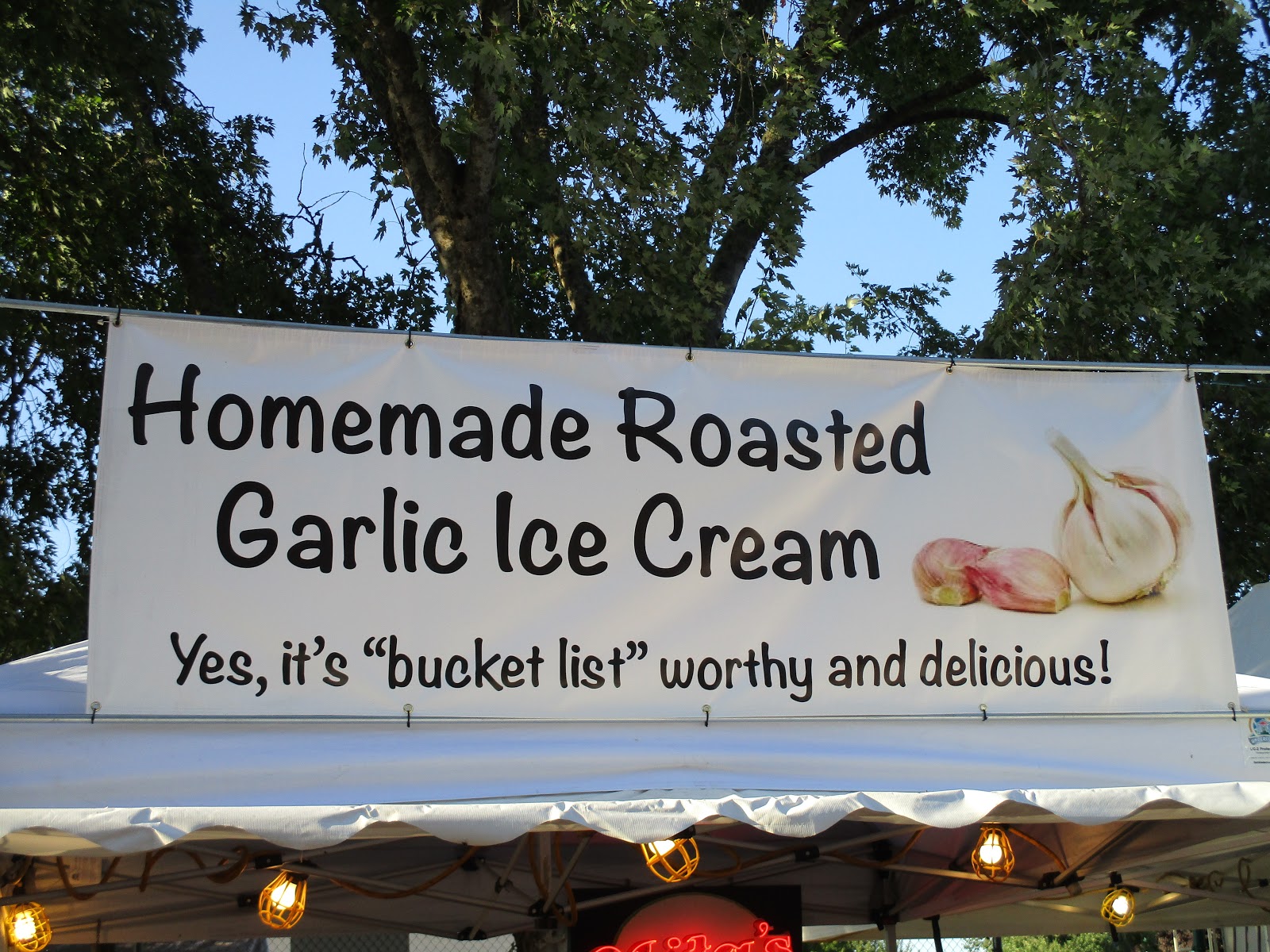 Sporktastic Travel North Plains, Oregon Elephant Garlic Festival