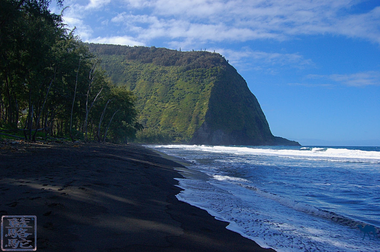 Le Chameau Bleu - Blog Voyage Hawaii - Photos Plage Hawaii Le Chameau Bleu - Blog Voyage Hawaii - Photos Plage Hawaii