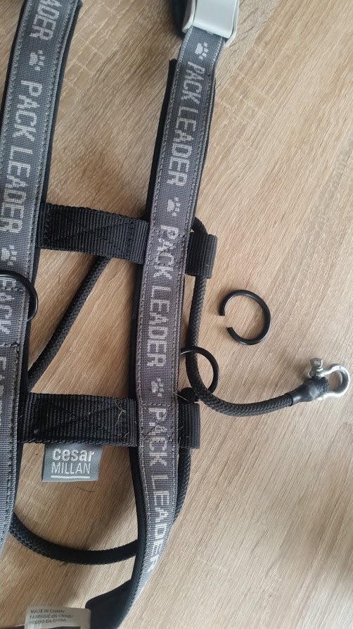 Marianne Croes Pack Leader Collar