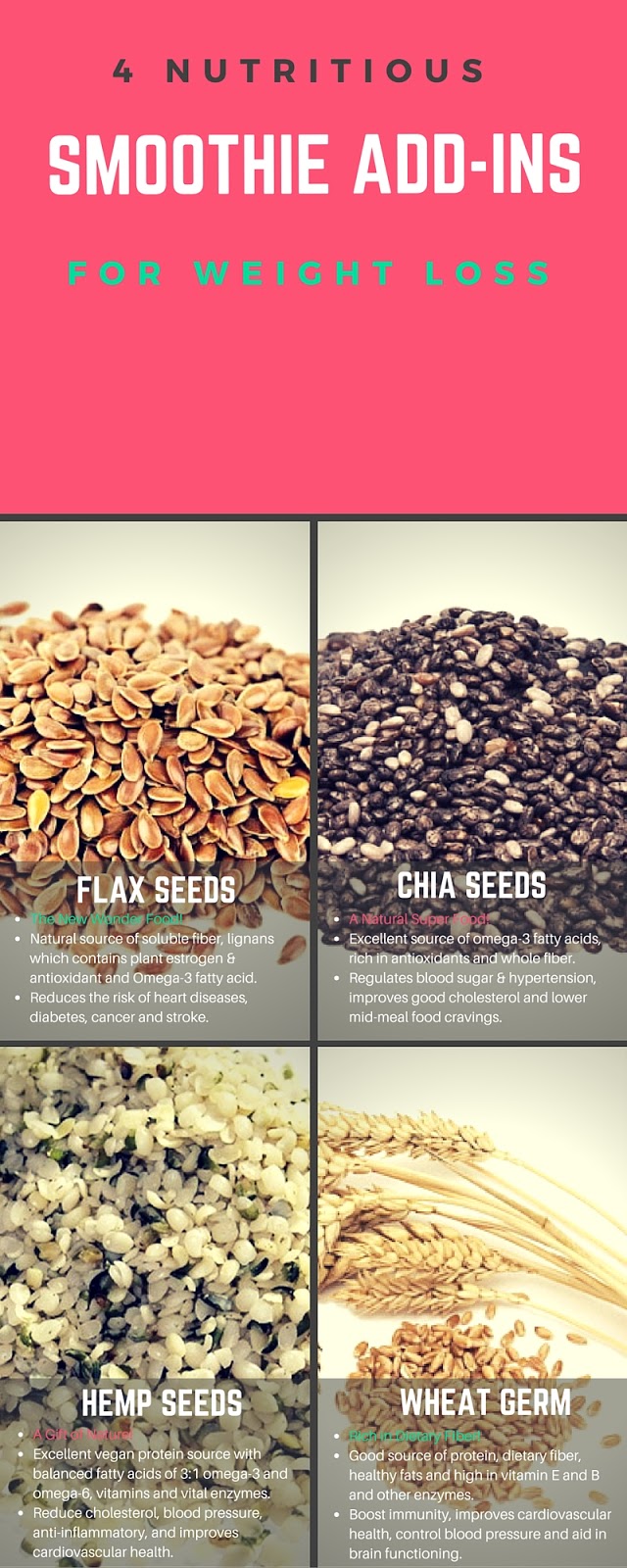 4 Best Smoothie Add Ins for Weight Loss Infographics The Blenders Guide