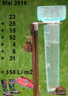 pluviométrie en Auvergne en Mai 2016