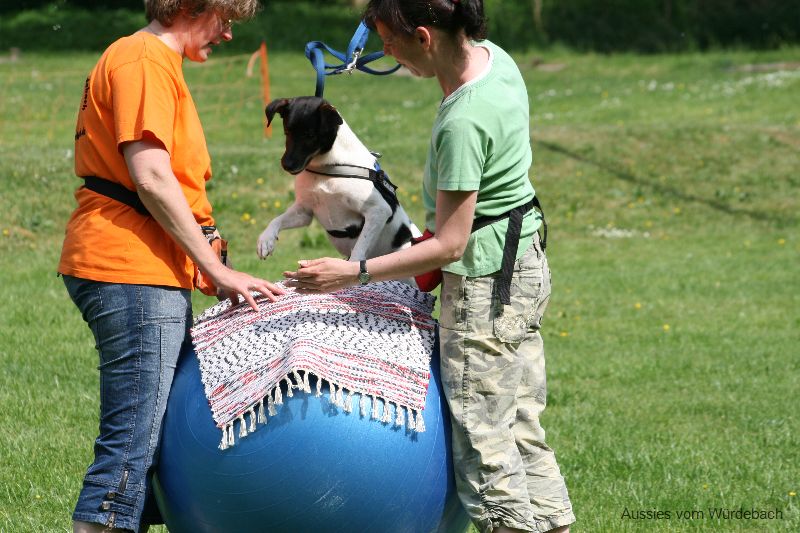 Kleine Dax Korrektur Noch Nicht Im Ziel