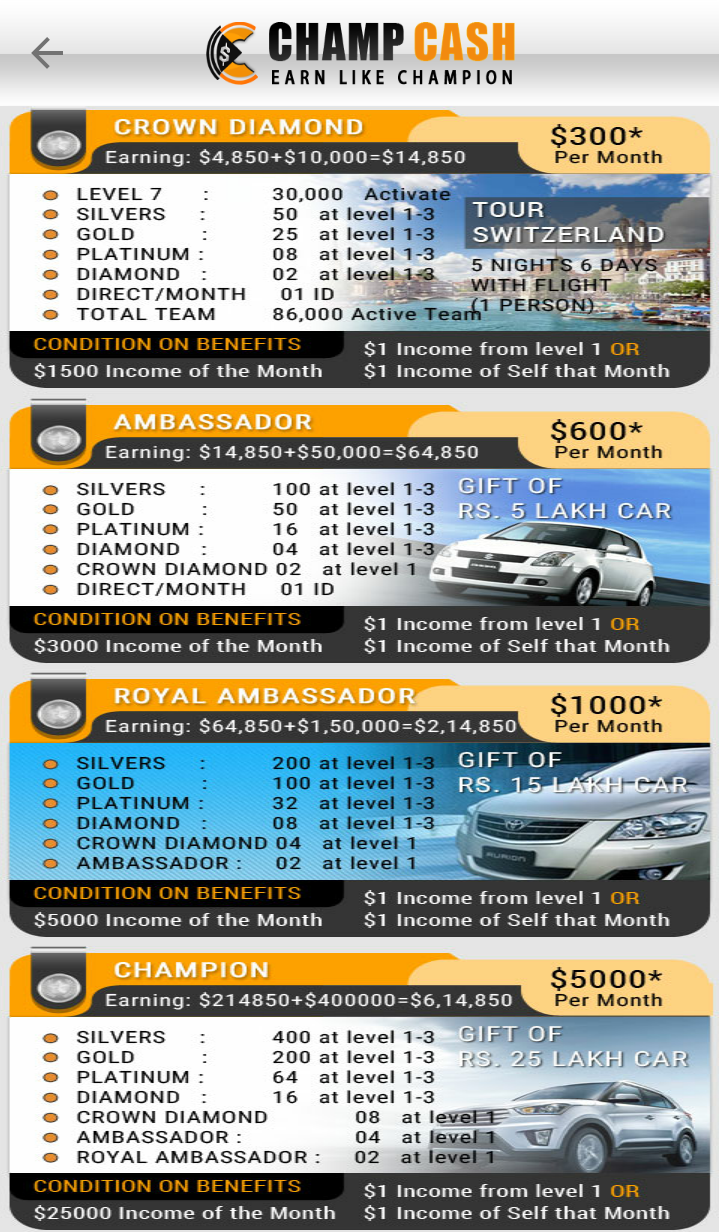 Champcash business plan 07 picture