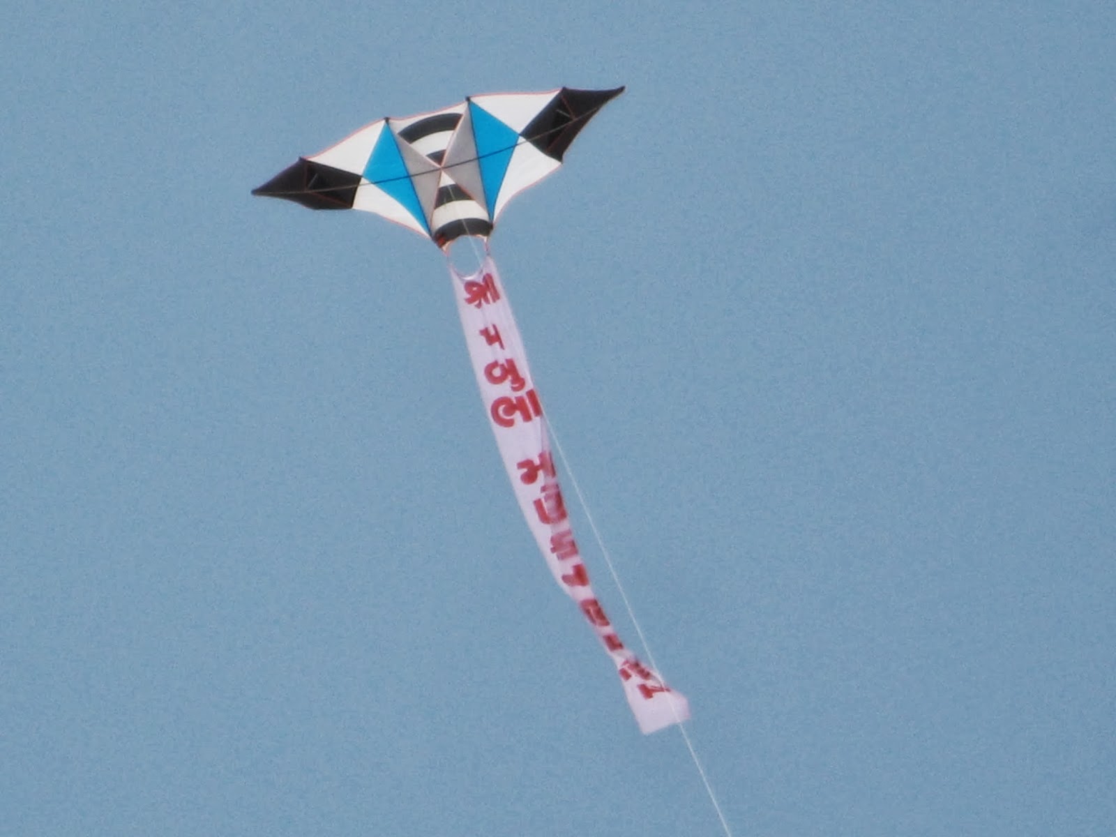 Kite Flyers India Branding and Advertising Kite Maker and Manufacturer