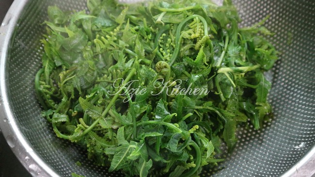 Kerabu Pucuk Paku Mudah Dan Sedap Azie Kitchen