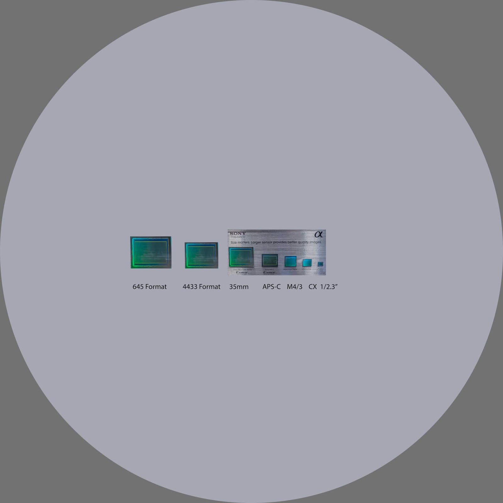 What Does "Full Frame" Mean?