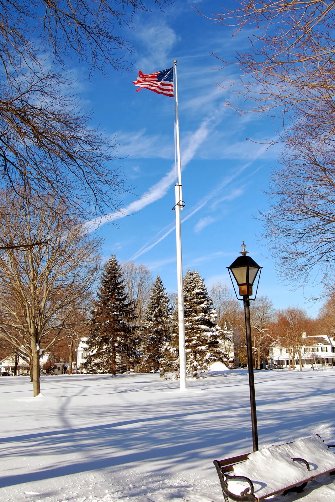 Flag in the breeze on the Town Common