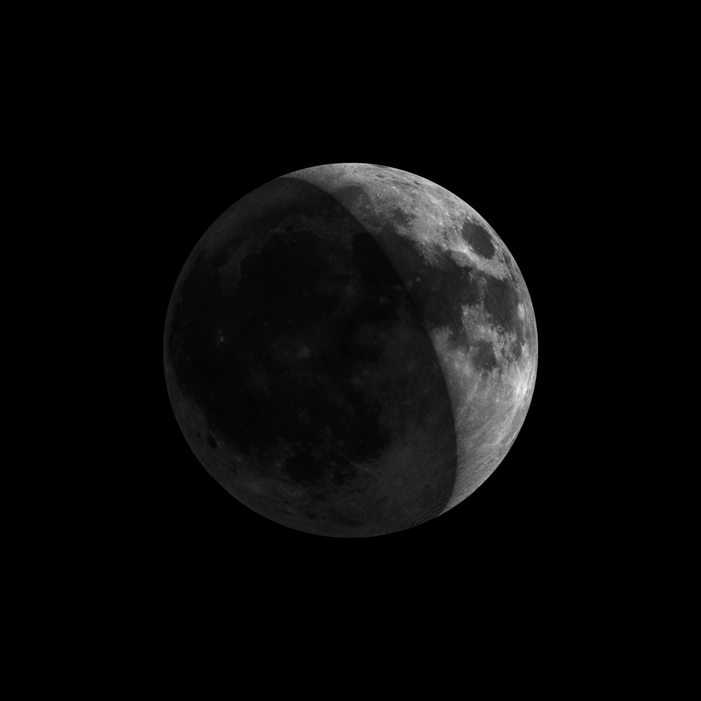 Wyrt Wizard July 2013 wyrt-wizard-july-2013