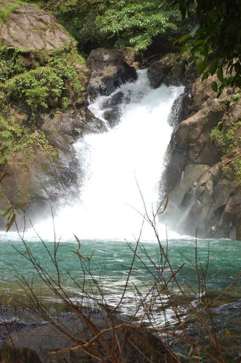 Sonal Waterfalls Goa - Netravali Wildlife Sanctuary 