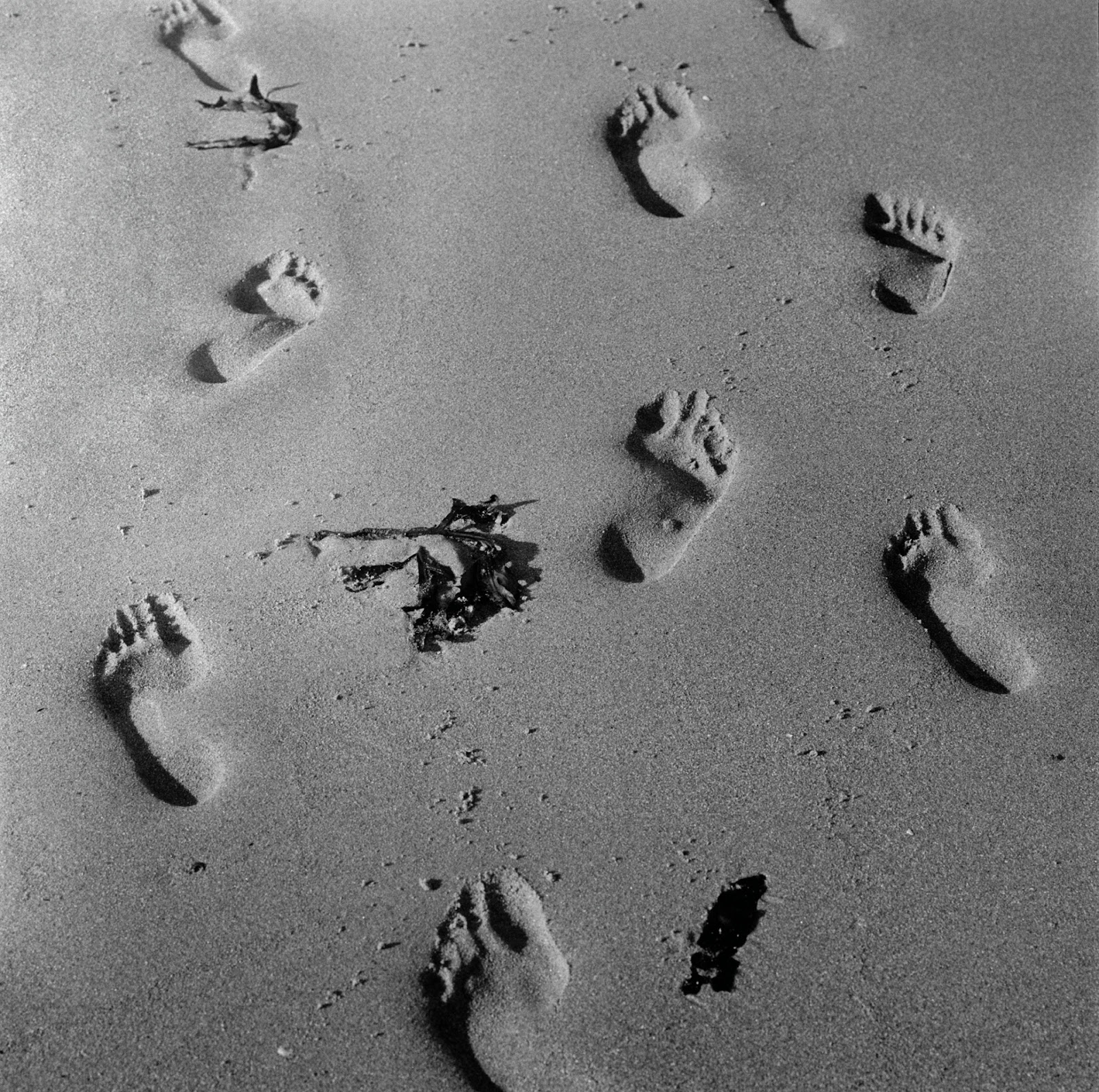 Photograph, Stuart Franklin: Northumberland. Footprints on Newton Beach. 2004.