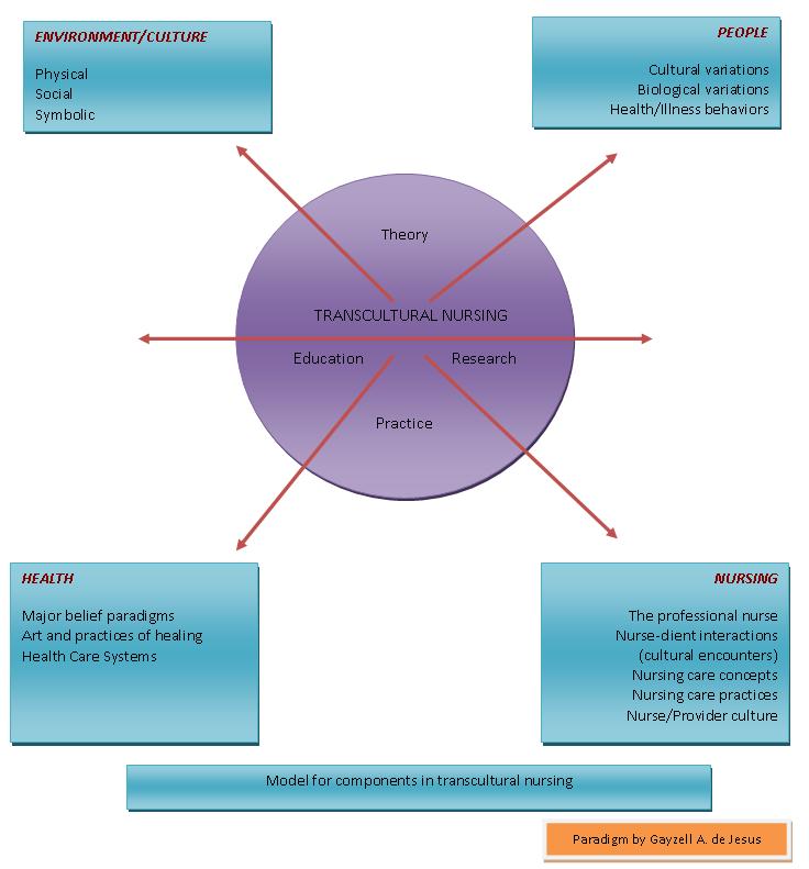 The Four Domains Of Nursing Metaparadigm