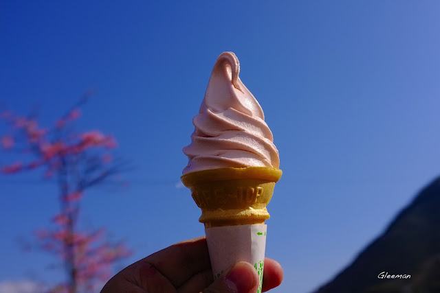 伊豆・河津櫻祭。很好吃的櫻花霜淇淋，味道很濃。